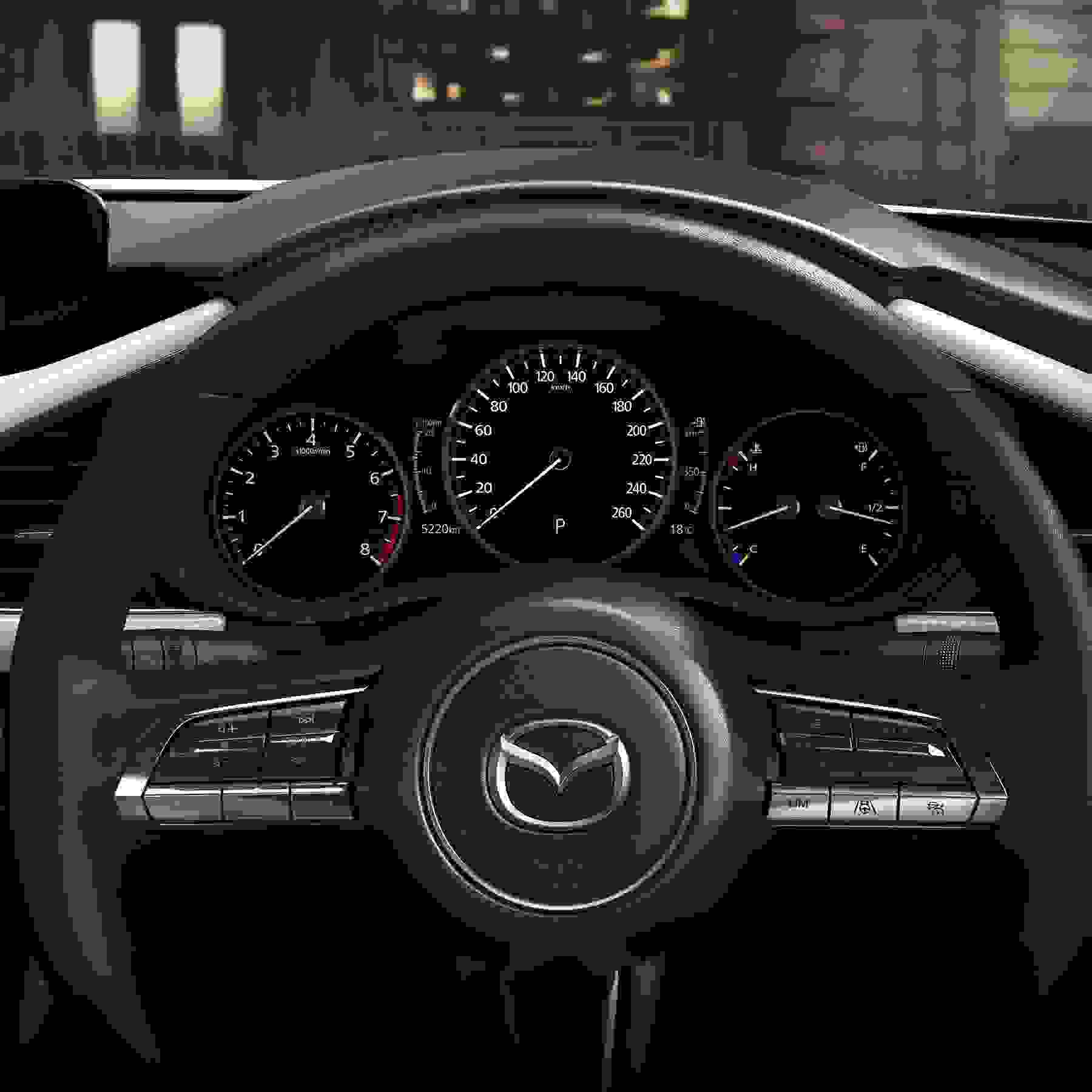 MULTI-INFORMATION METER DISPLAY